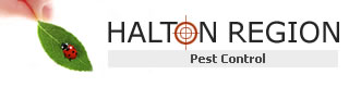 Halton Region Pest Control